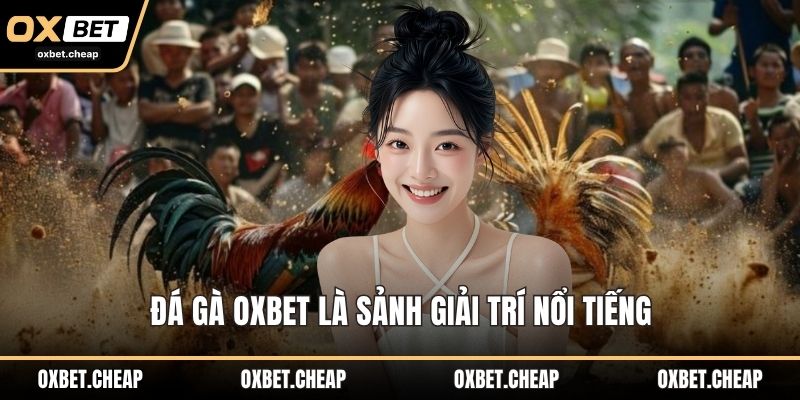 Đá gà OXBET là sảnh giải trí nổi tiếng