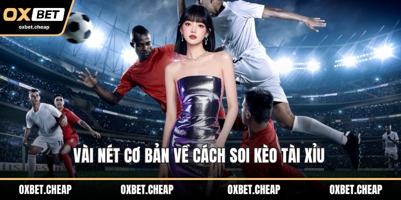 Vài nét cơ bản về cách soi kèo tài xỉu 